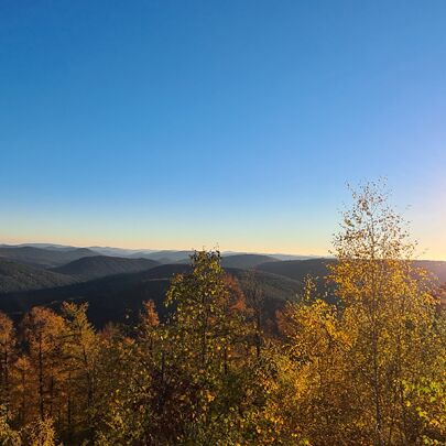 Pfalzerwald im Herbst