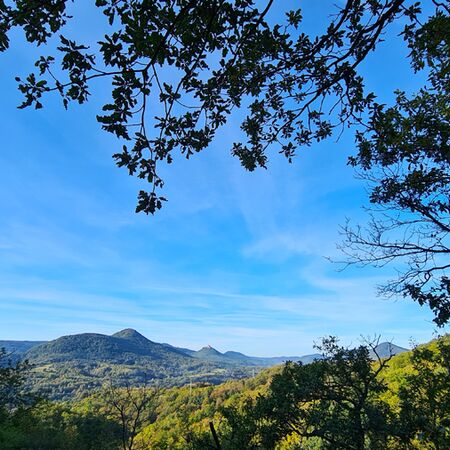 Blick zur Burg Dreifaltigkeit