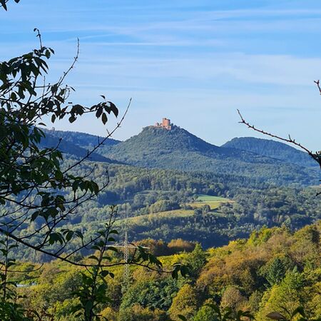 Blick zur Burg Trifels